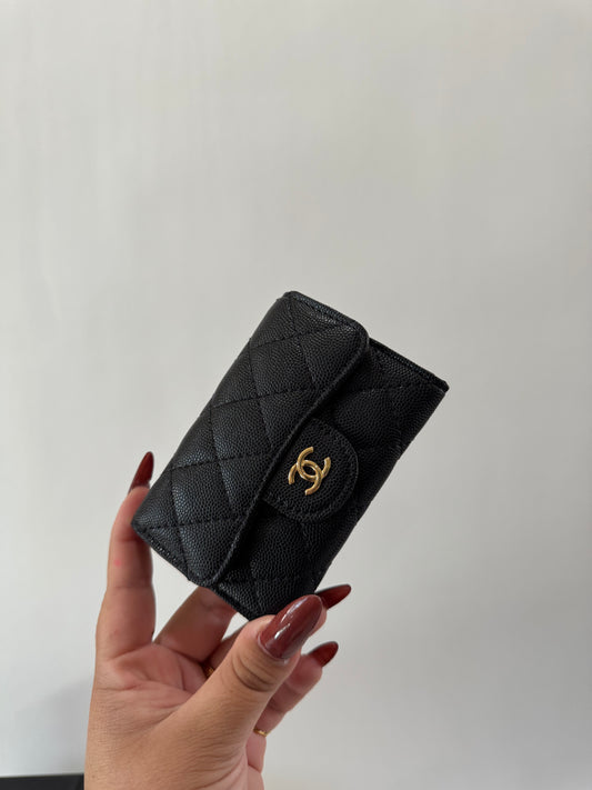 Shelly Wallet